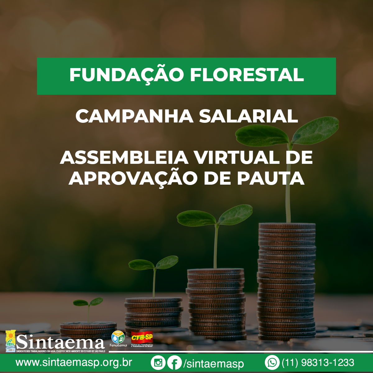 Funda O Florestal Campanha Salarial Assembleia Virtual De Aprova O