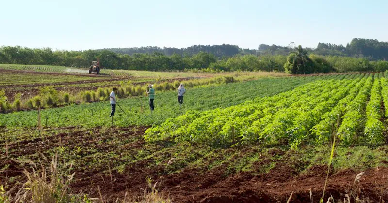 Piracicaba | Projeto contribui para gestão agrícola e ambiental