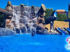 Férias chegando! Confira algumas parcerias firmadas pelo Sintaema