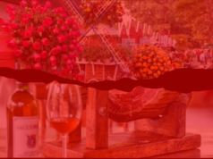 Sintaema e ABC das Viagens preparam agenda incrível em Holambra e Jundiaí. Confira!