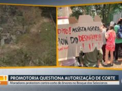 Na semana da COP 30, especulação imobiliária avança contra meio ambiente e fere direito à vida na cidade
